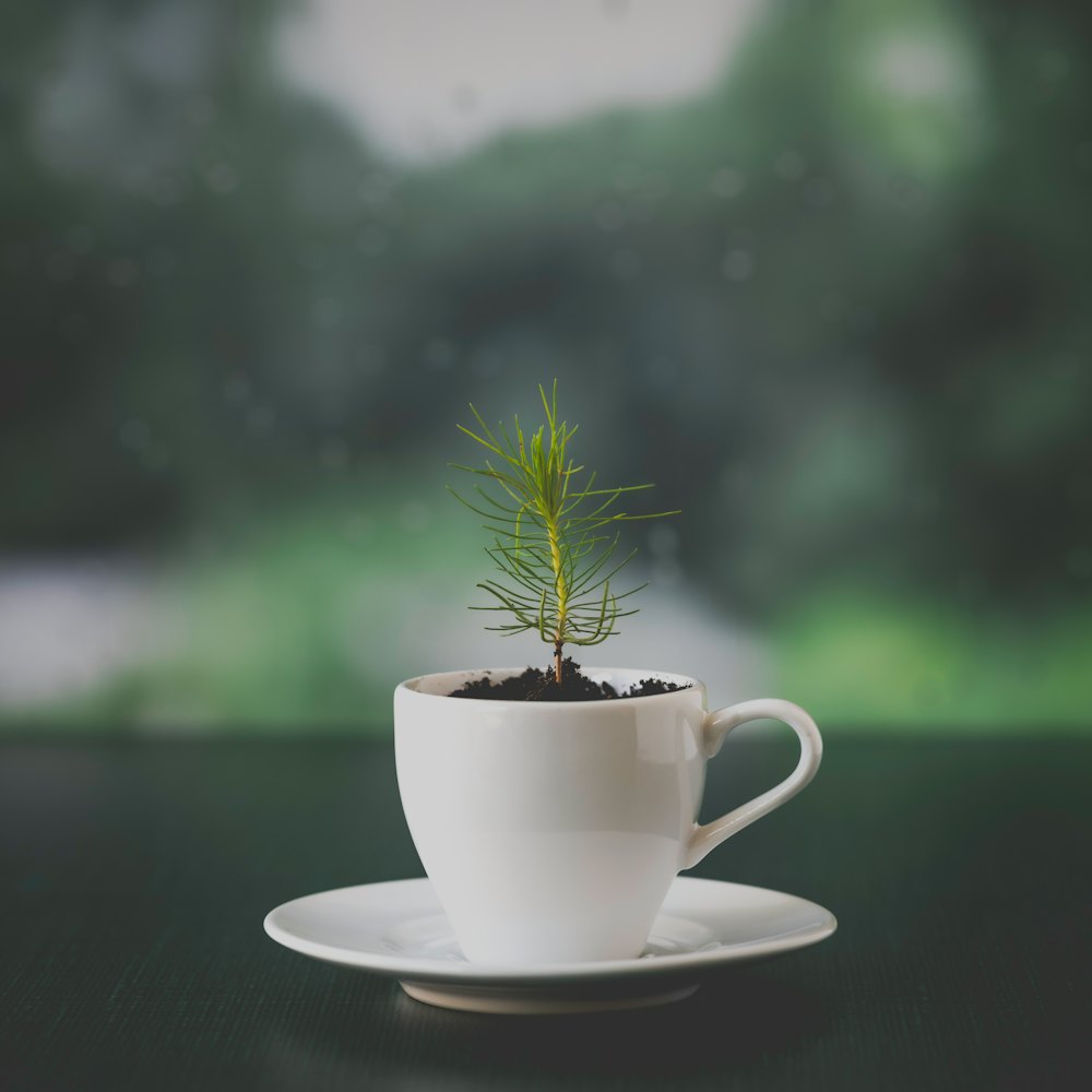 Espresso Doppio